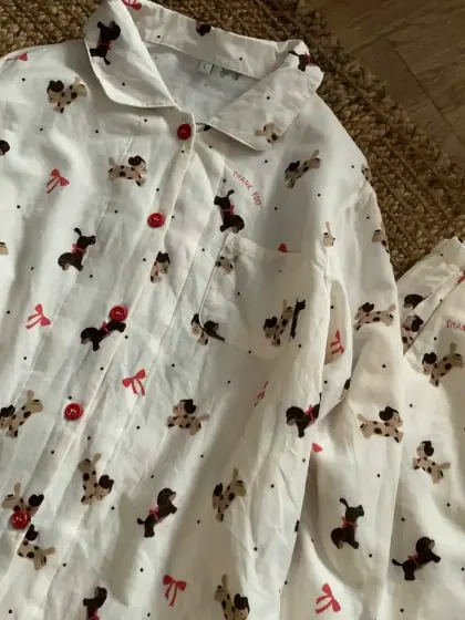 Dachshund - 5